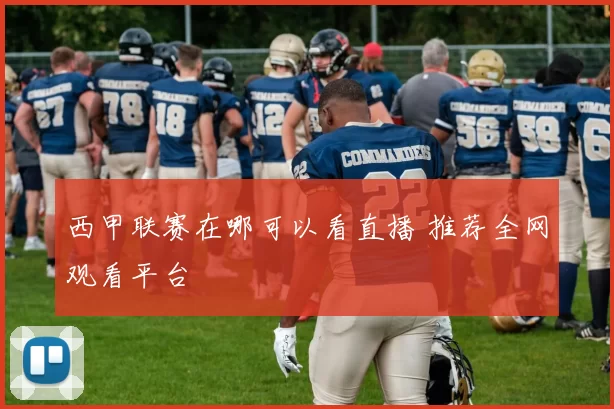 西甲联赛在哪可以看直播 推荐全网观看平台