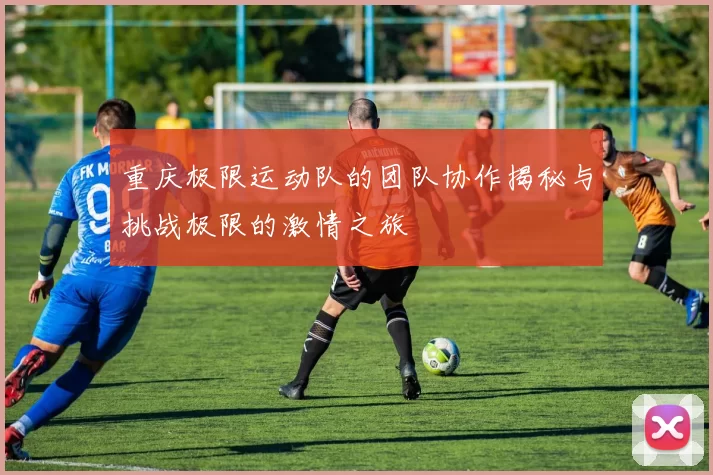 重庆极限运动队的团队协作揭秘与挑战极限的激情之旅