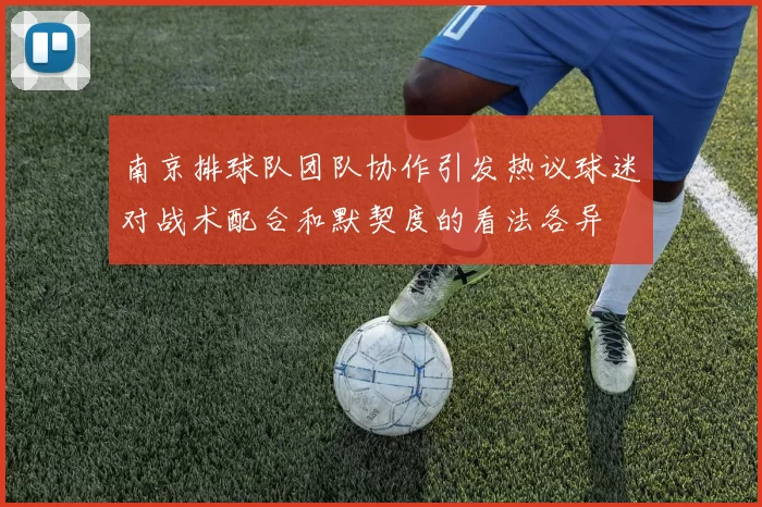 南京排球队团队协作引发热议球迷对战术配合和默契度的看法各异