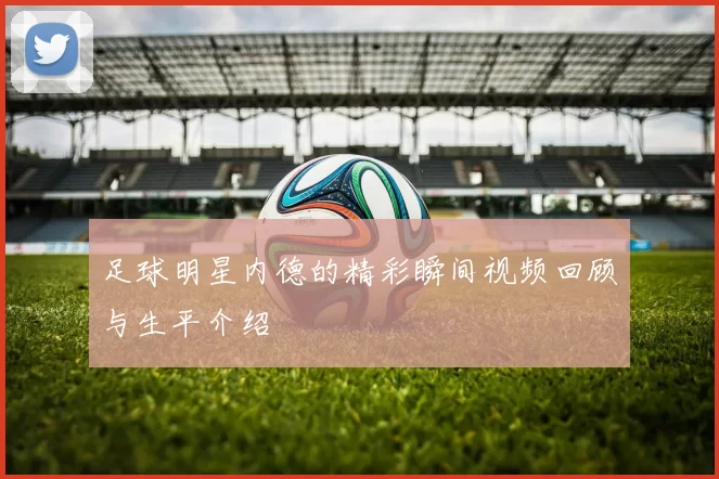 足球明星内德的精彩瞬间视频回顾与生平介绍