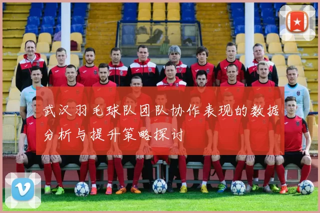 武汉羽毛球队团队协作表现的数据分析与提升策略探讨