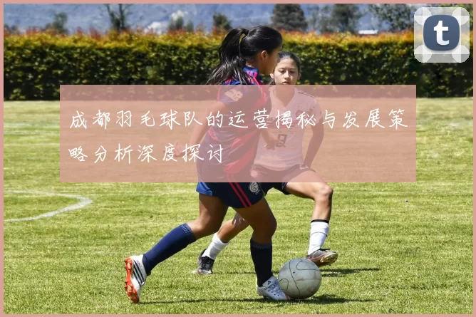 成都羽毛球队的运营揭秘与发展策略分析深度探讨
