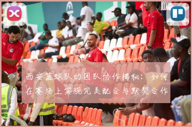 西安篮球队的团队协作揭秘：如何在赛场上实现完美配合与默契合作