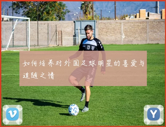 如何培养对外国足球明星的喜爱与追随之情