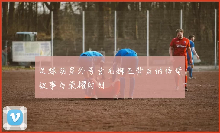 足球明星外号金毛狮王背后的传奇故事与荣耀时刻