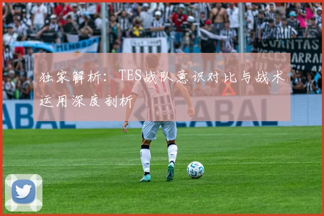 独家解析：TES战队意识对比与战术运用深度剖析