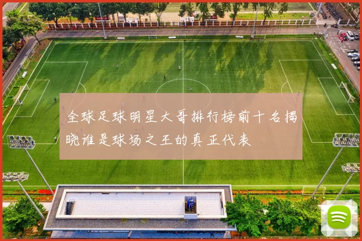 全球足球明星大哥排行榜前十名揭晓谁是球场之王的真正代表