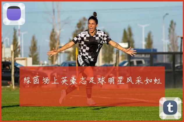 绿茵场上英豪志足球明星风采如虹