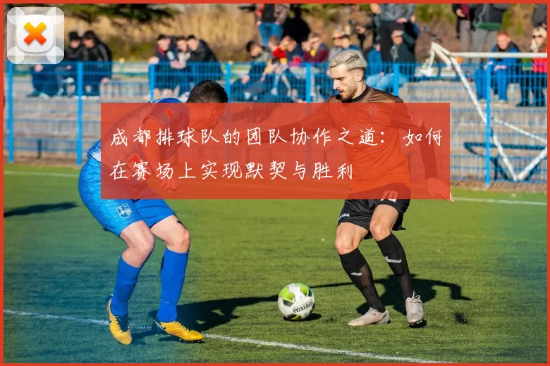 成都排球队的团队协作之道：如何在赛场上实现默契与胜利