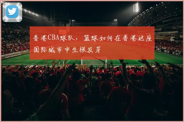 香港CBA球队，篮球如何在香港这座国际城市中生根发芽