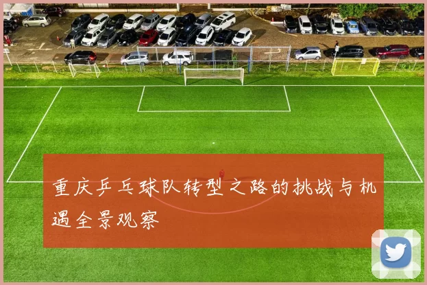 重庆乒乓球队转型之路的挑战与机遇全景观察