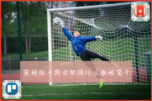 英超纽卡斯尔联现任主教练简介