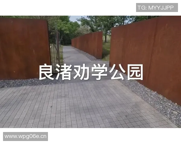 杭州滑板队个人能力分析与表现评估研究报告 杭州滑板队个人能力分析与表现评估研究报告